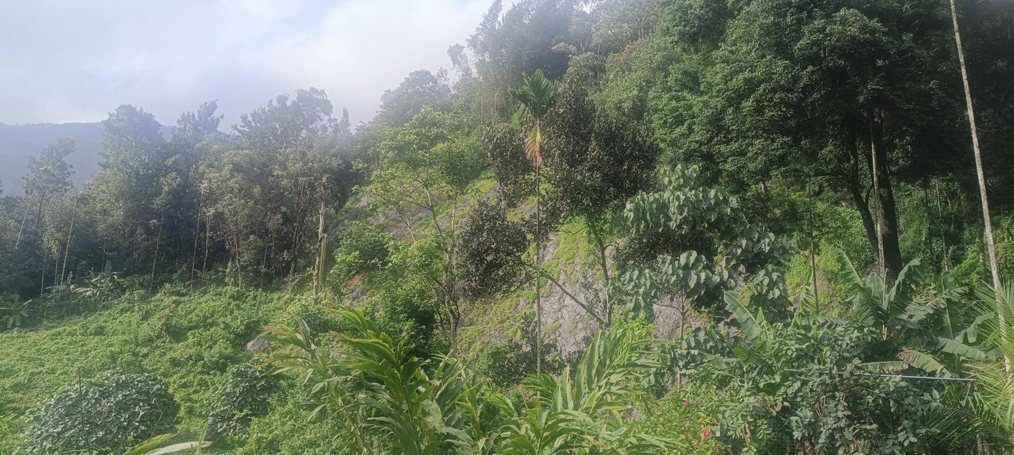 شقة Nandana'S Residency مونار المظهر الخارجي الصورة